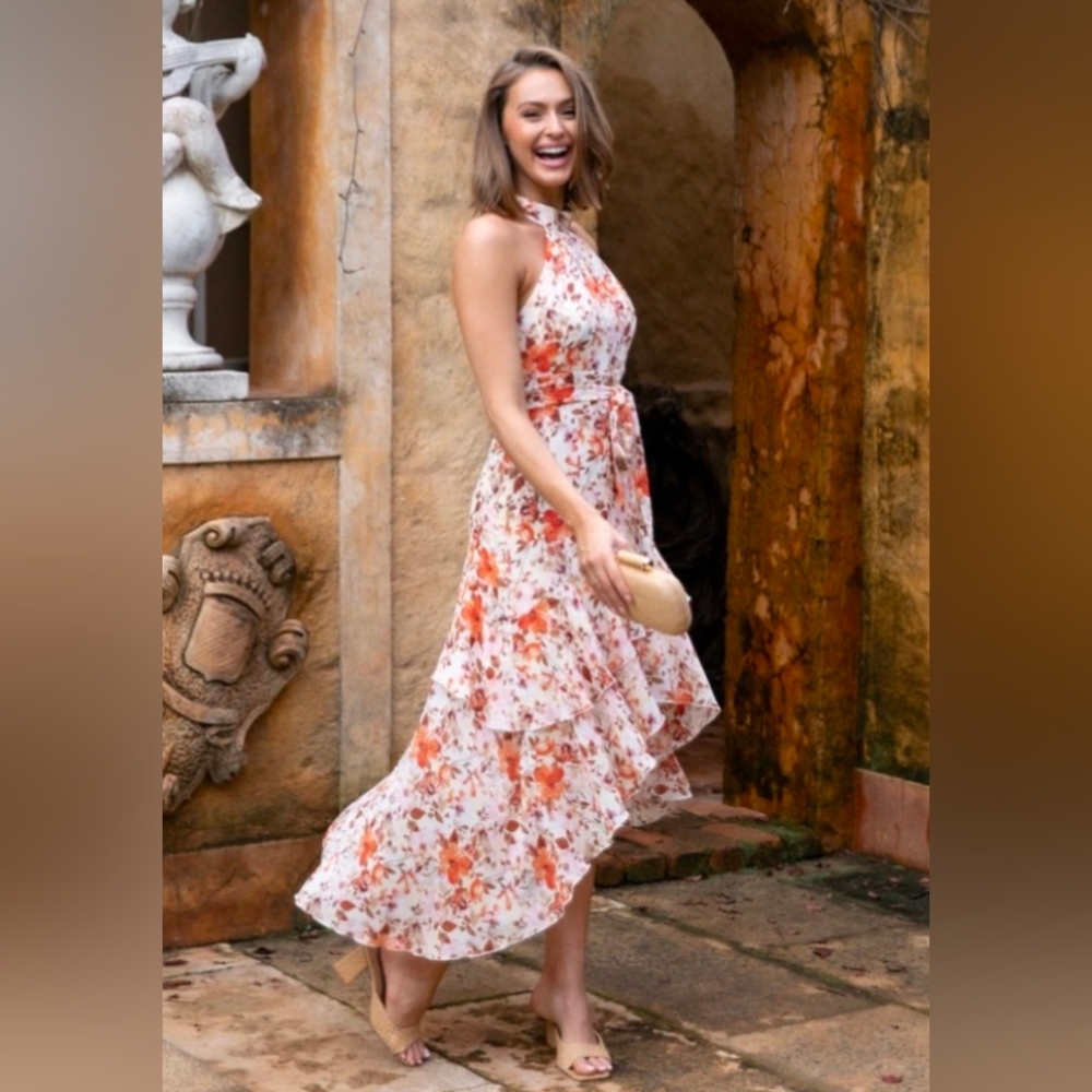 Petal & Pup Hallie Dress US 6